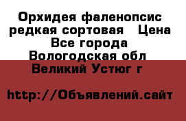 Орхидея фаленопсис редкая сортовая › Цена ­ 800 - Все города  »    . Вологодская обл.,Великий Устюг г.